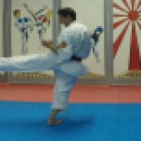 Jean-David ZITOUN démontre le deuixième kata de Nihon-Taï-Jitsu